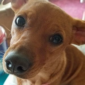 Meet your Posher, Angela